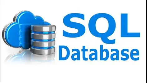SQL&DataBase.png 